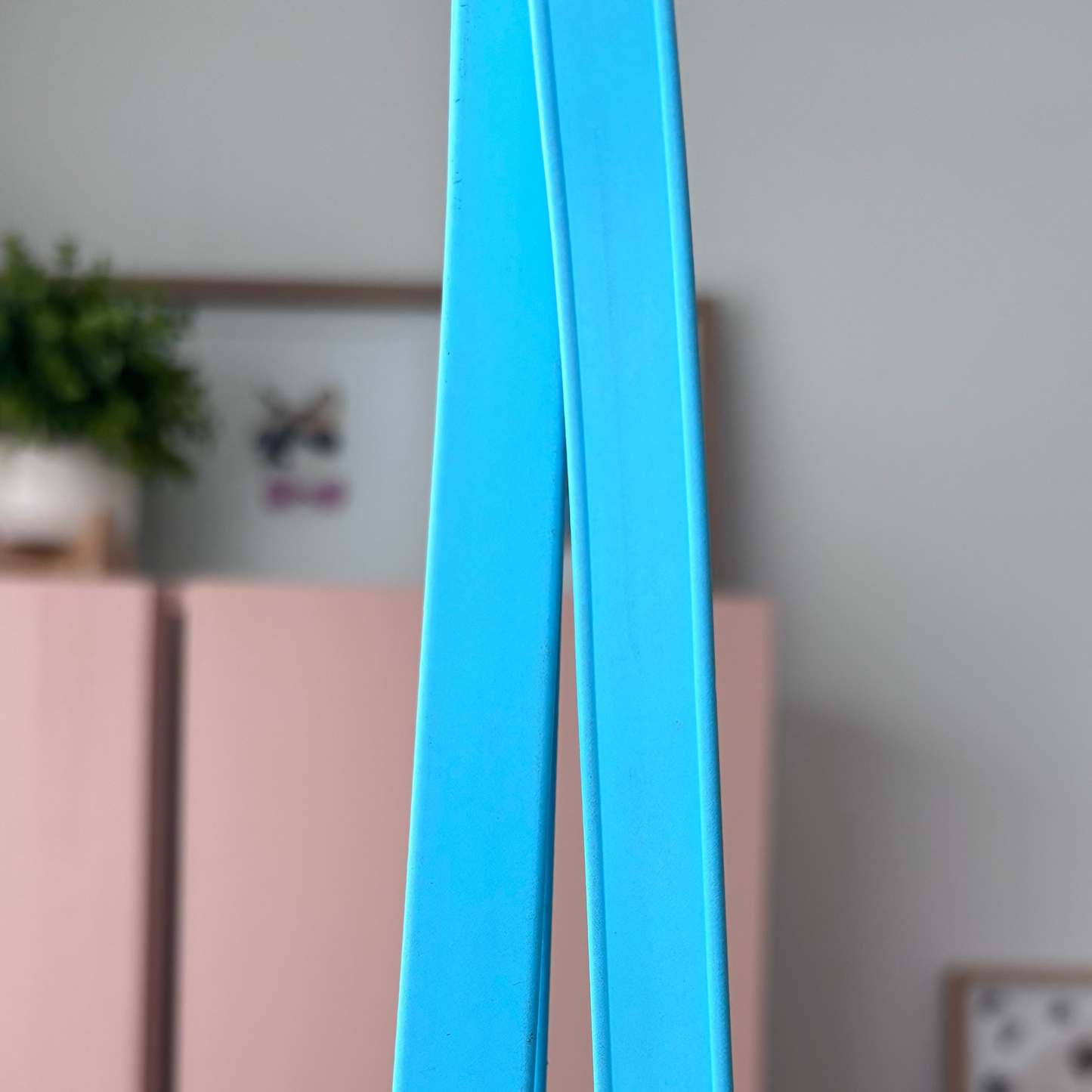 Adjustable BioThane® Grooming Loop