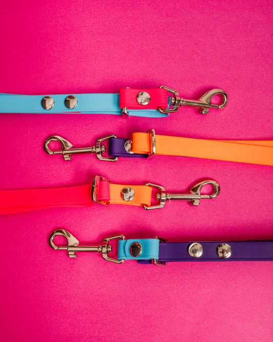 Adjustable BioThane® Grooming Loop